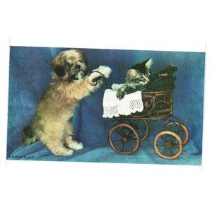 Vintage Dog Pushing Kitten Rustic Stroller Print Photography Art Vet Ad Card